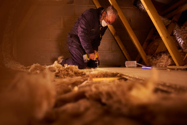 Insulation Repair Services in Overland Park, KS
